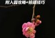 青龙寺挑战模式攻略（挑战模式攻略，青龙寺关卡通关攻略详解！）