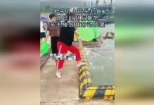 《掌握捕鱼钓鱼技巧，成为小小航海士的捕鱼高手》（捕鱼钓鱼秘籍大公开，让你捕获丰富海洋资源）