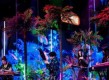 《疯狂动物园》鸵鸟乐手属性图鉴大揭秘（以游戏为主，全面解析鸵鸟乐手各项属性及特点）