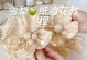 雪梨辅助教程出装攻略（打造强力辅助，全面提升游戏体验）