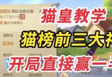 战士老鼠出装攻略（如何正确选择装备，让战士老鼠变得更加强大）