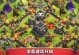 《建造营地手游攻略大全》（打造完美营地的必备指南）