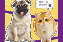 剑冢攻略（精通剑冢攻略的关键，选择合适的宠物！）