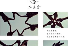 不诉离殇游戏攻略（揭开离殇游戏的神秘面纱，解锁隐藏任务与技巧）
