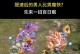 大话手游男魔攻略（如何在大话手游中以平民玩家为主，优化男魔的加点配置）