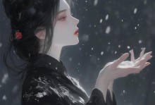 以调皮王妃最强出装攻略（争夺主角地位，男二角色胜出的关键技巧）