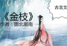 《金枝攻略手游》——征战天下的女性江山梦（女性主宰乱世，策略智慧无敌）