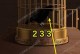 新版本下棋乌鸦出装攻略（挑战更高段位！乌鸦出装攻略助你登顶）