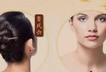 天刀任脉见闻攻略（探索武林奥秘，一览任脉真相）