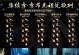 SKY光遇攻略大全（打造超强新手玩家，帮你轻松通关！）