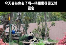 熊猫世界游玩攻略——探索可爱熊猫的乐园（亲临熊猫天堂，体验与大熊猫亲密接触的奇妙之旅）