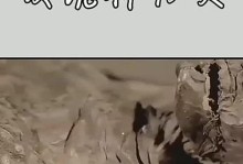 掌握以神的旨意64关攻略的关键技巧（在游戏中追求神的旨意，打通所有关卡的秘诀）