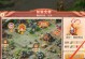 长安之亦攻略（用揭示长安之亦的攻略技巧，让你游刃有余）